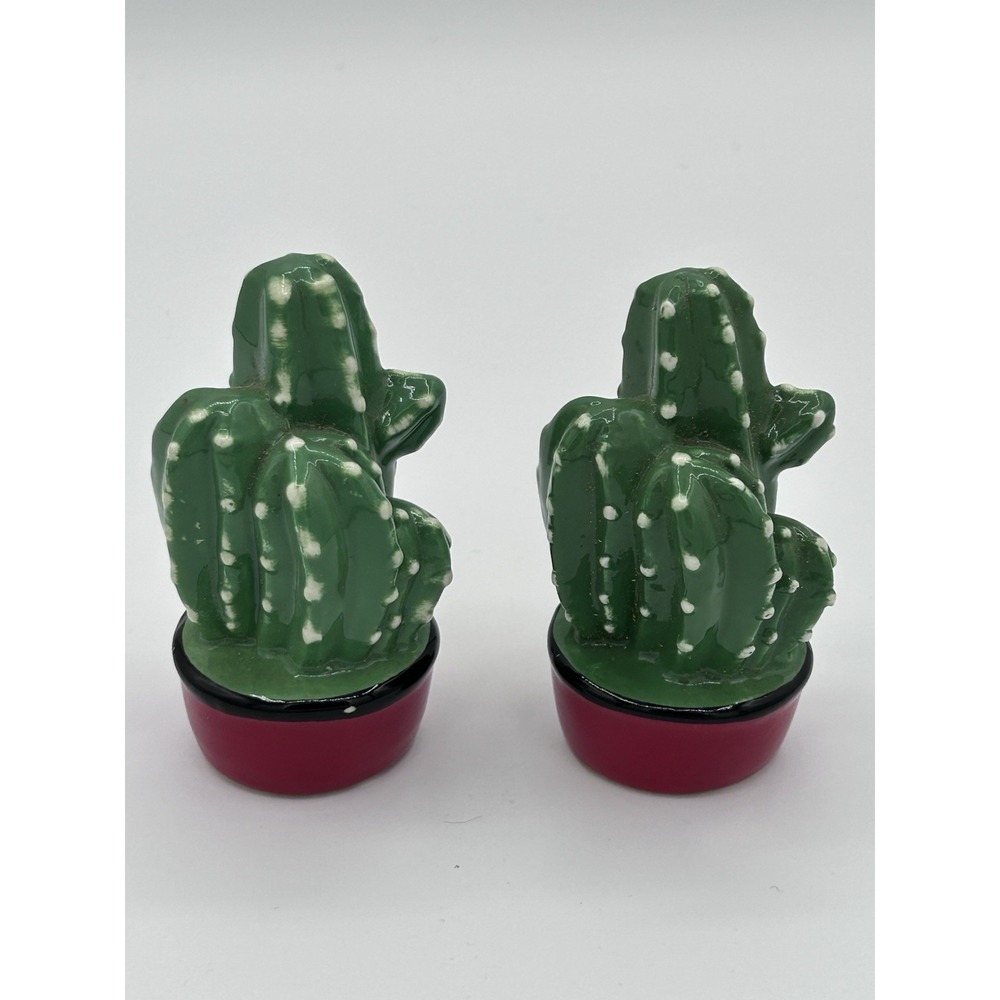 1950s Cactus In Pots Salt And Pepper Shakers VTG Western Desert